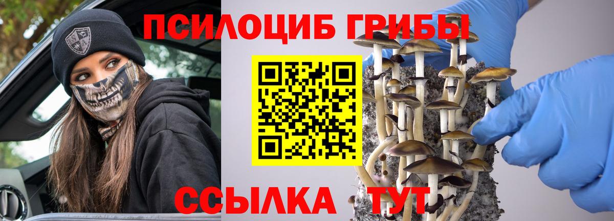 Нижний Новгород  Псилоцибиновые грибы Psilocybine cubensis  Вход с VPN  Псилоцибиновые грибы Magic Shrooms 