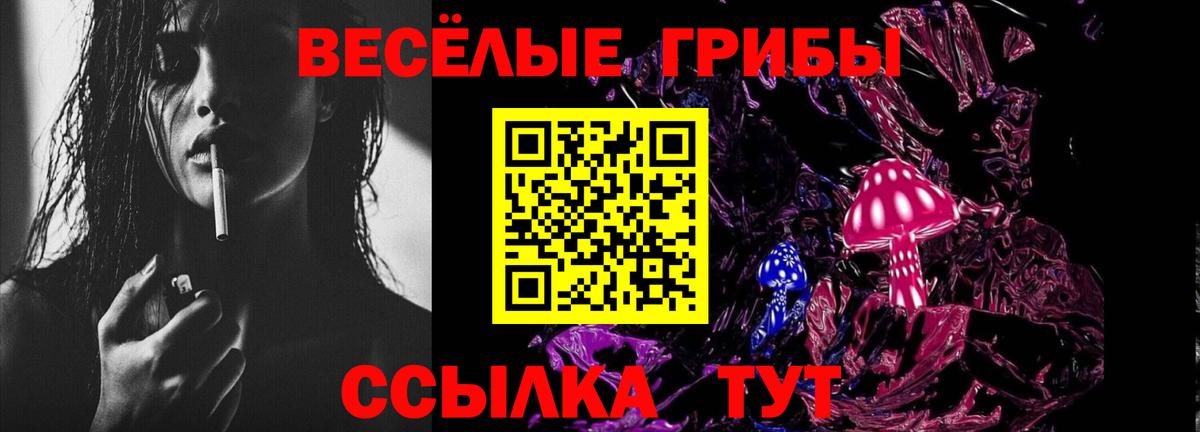 Галлюциногенные грибы ЛСД Нижний Новгород
